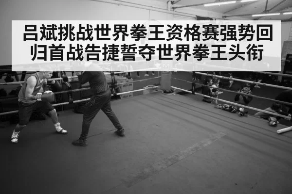 boxer training gym